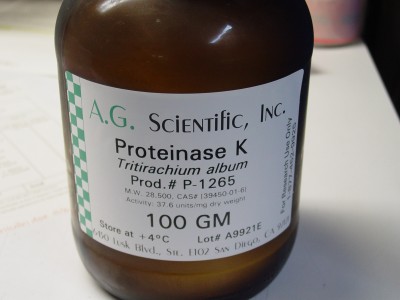 پروتئیناز K کد p1265  مقدار 100 گرمی 