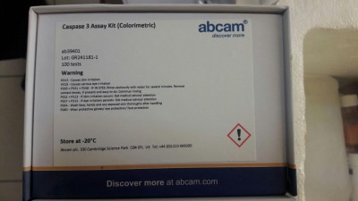 Caspase 3 Assay Kit (Colorimetric) ab39401