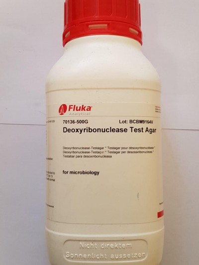 Deoxyribonuclease Test Agar 500G / کد 70136