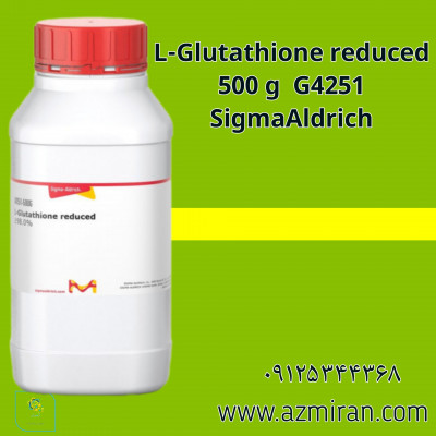 L-Glutathione reduced 500 g  G4251 SigmaAldrich