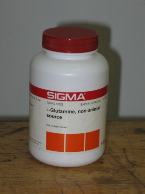L-Glutamine, non-animal source 100 g Sigma G8540 ال گلوتامین 