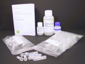 	CyScribe GFX Purification Kit 1 * 1 KIT (GE HEALTHCARE) 
