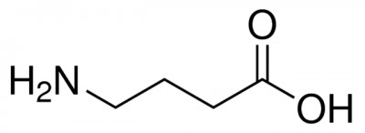 γ-آمینوبوتیریک اسید 10 میلیگرم کد A5835