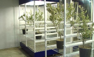 قفسه نوری جهت آزمایشگاههای رشد گیاه ساخت ایران