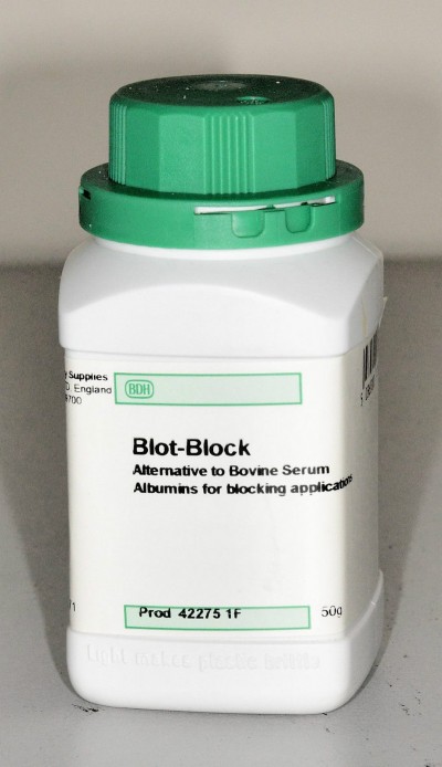 Blot-Block alternative to Bovine serum molecular Biology applications, 50g