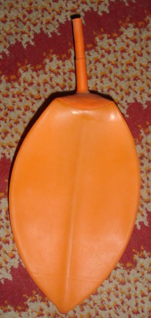 بالن گاز