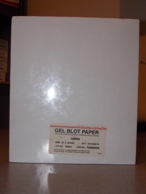 SCHLEICHER&SCHUELL BLOTTING PAPER GB004 SIZE 23X26.5CM QTY 100 BLOT SHEETS NEW