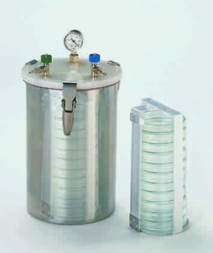 جار بیهوازی