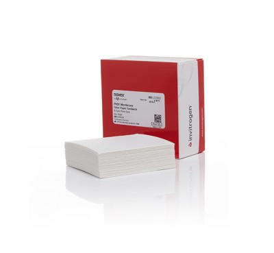 PVDF Pre-cut Blotting Membranes, 0.2 µm pore size Cat No LC2002