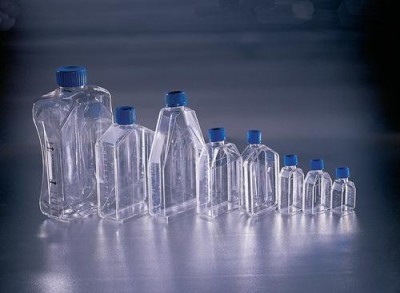 Poly-D-lysine cell culture flasks, Corning® BioCoat™