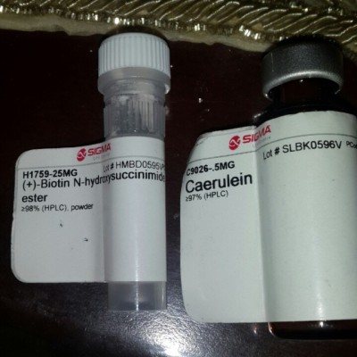 کارولئین 5 میلیگرمی کد C9026 سیگما آمریکا 