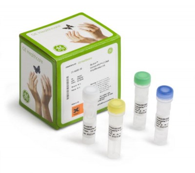 illustra GenomiPhi V2 DNA Amplification Kits25-6600-31