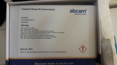 Caspase 8 Assay Kit (Colorimetric) ab39700