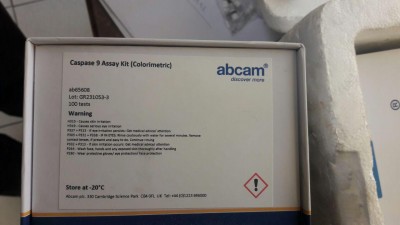 Caspase 9 Assay Kit (Colorimetric) ab65608