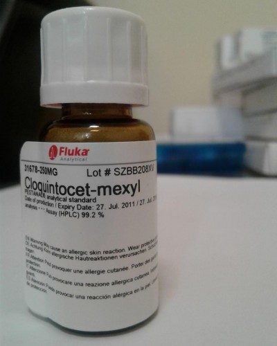 کل کویین توکت 250mg / کد 31678