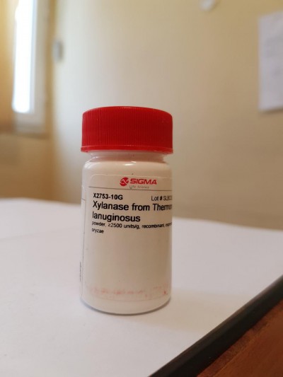 Xylanase from Thermomyces lanuginosus  Green Alternative 10g/ کد x2753
