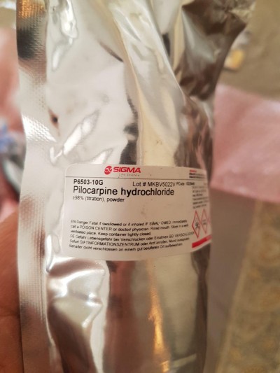 Pilocarpine hydrochloride  10G / کد P6503