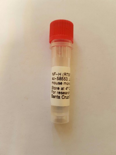 آنتی بادی NF-H کد SC-58553 واحد 100 µg/ml