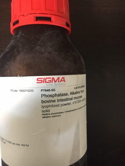 فسفات آلکین 5G  from bovine intestinal mucosa  / کد P7640