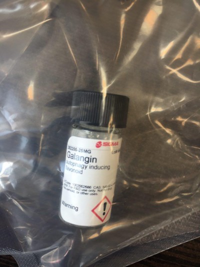 گالانجین 25MG / کد 282200
