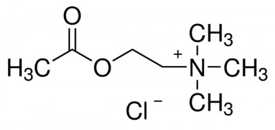 1008501 USP Acetylcholine chloride United States Pharmacopeia (USP) Reference Standard 200mg