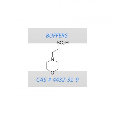 MES free acid 500g Reference: MES-001