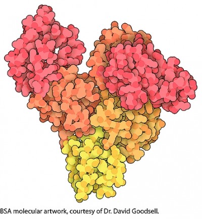 محلول آلبومین سرم گاوی 10 میلی لیتری کد A3174