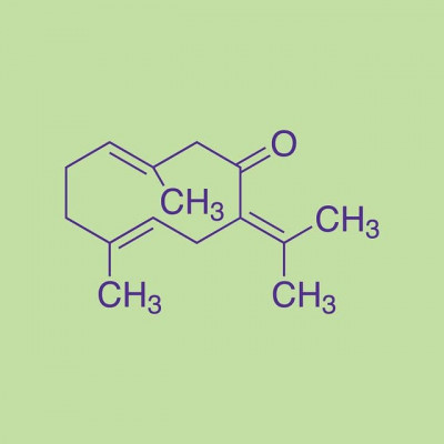 ژرماکرون CAS Number：6902-91-6 Molecular Formula：C15H22O Molecular Weight：218.335