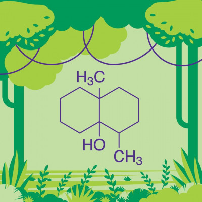 (±)-Geosmin شماره CAS: 16423-19-1 فرمول: C12H22O 