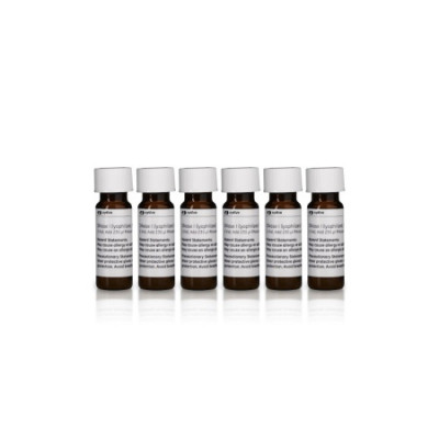 RNAspin Mini Kit - 250 Preps  کد 25050072 شرکت Cityva