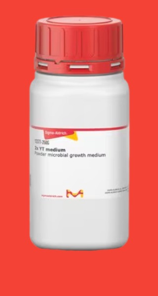 2x YT medium
