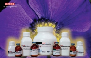 500g های مدیاMRS Agar ساخت هندوستان 