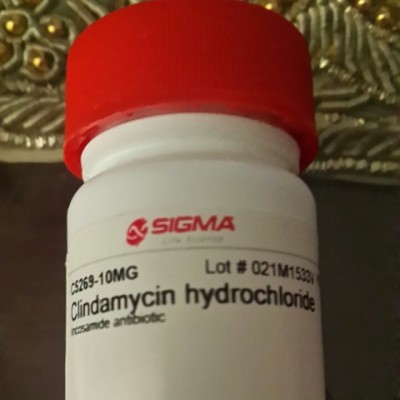 کلیندومایسین هیدروکلراید 10 میلیگرمی کد C5269 Sigma