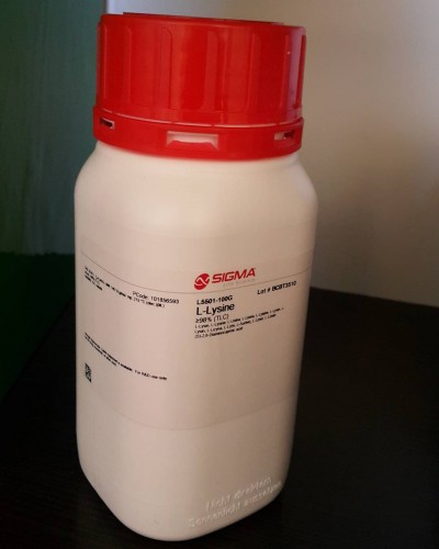 L-Lysine 100 g Sigma L5501  ال لایزین 