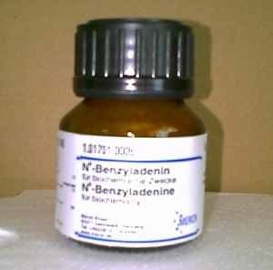 بنزیل آدنین 5 گرمی کد 101701 مرک آلمان N6-Benzyladenine  برای بیو شمی