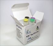 Taq DNA Polymerase 500 u cat nom