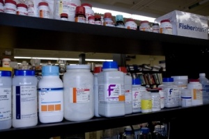 Sigma D-(+)-Raffinose pentahydrate R0250 - ≥98.0% 25g 